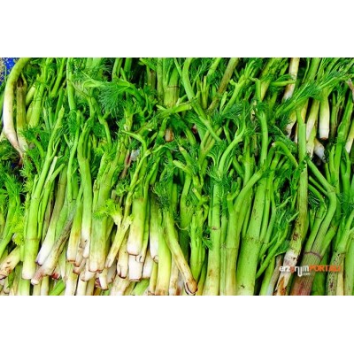 ÇAŞUR (ÇAŞIR)5kg bidon NET 2 kg