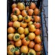 HURMA ARTVİN TAZE HURMASI ÇİKOLATALI 1 KG HURMA ARTVİN TAZE HURMASI ÇİKOLATALI 1 KG