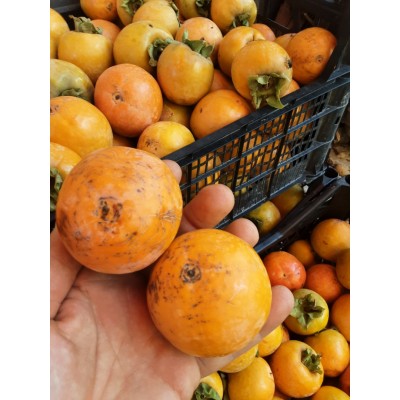 HURMA ARTVİN TAZE HURMASI ÇİKOLATALI 1 KG HURMA ARTVİN TAZE HURMASI ÇİKOLATALI 1 KG