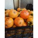 HURMA ARTVİN TAZE HURMASI ÇİKOLATALI 1 KG HURMA ARTVİN TAZE HURMASI ÇİKOLATALI 1 KG