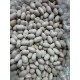 ARTVİN ÖZEL SEKER FASULYESİ 1KG iri boy ARTVİN ÖZEL SEKER FASULYESİ 1KG iri boy