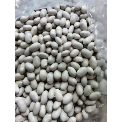 ARTVİN ÖZEL SEKER FASULYESİ 1KG iri boy ARTVİN ÖZEL SEKER FASULYESİ 1KG iri boy