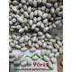 ARTVİN ÖZEL SEKER FASULYESİ 1KG iri boy ARTVİN ÖZEL SEKER FASULYESİ 1KG iri boy