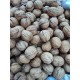 ARTVİN ŞAVŞAT CEVİZİ KABUKLU 1KG ARTVİN ŞAVŞAT CEVİZİ KABUKLU 1KG
