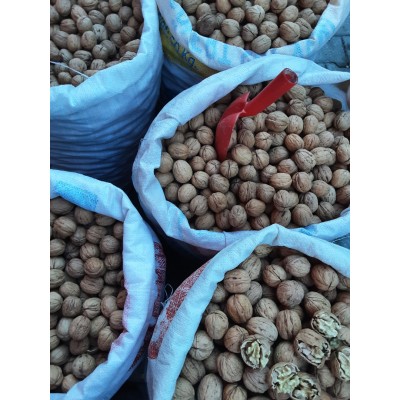ARTVİN ŞAVŞAT CEVİZİ KABUKLU 1KG ARTVİN ŞAVŞAT CEVİZİ KABUKLU 1KG