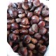 KESTANE ARTVİN KESTANESİ 1 KG KESTANE ARTVİN KESTANESİ 1 KG
