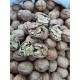 ARTVİN ŞAVŞAT CEVİZİ KABUKLU 1KG ARTVİN ŞAVŞAT CEVİZİ KABUKLU 1KG