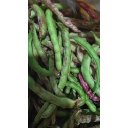 ARTVİN TAZE FASULYE( DENLİ Telsiz kılçıksız)1 kg