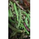 ARTVİN TAZE FASULYE( DENLİ Telsiz kılçıksız)1 kg