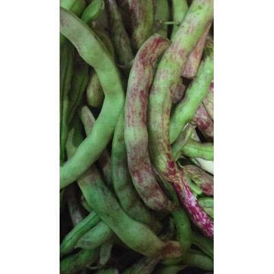 ARTVİN TAZE FASULYE( DENLİ Telsiz kılçıksız)1 kg