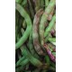 ARTVİN TAZE FASULYE( DENLİ Telsiz kılçıksız)1 kg