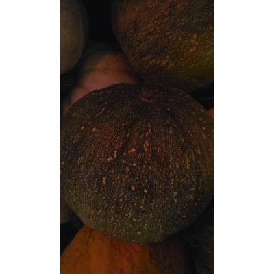 ARTVİN YÖRESEL KABAK 1 kg