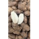 ARTVİN BEYAZ PATATES 1 kg(yeni sezon)taze