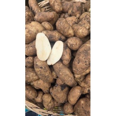 ARTVİN BEYAZ PATATES 1 kg(yeni sezon)taze