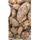 ARTVİN BEYAZ PATATES 1 kg(yeni sezon)taze