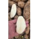 ARTVİN BEYAZ PATATES 1 kg(yeni sezon)taze