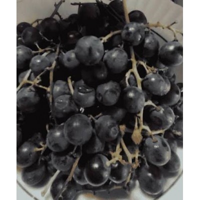 KOKULU ÜZÜM İZEBELLA  1 KG