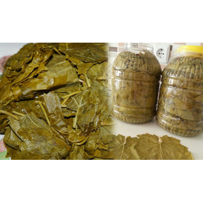 ÜZÜM YAPRAĞI 1 KG